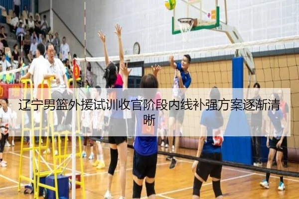 辽宁男篮外援试训收官阶段内线补强方案逐渐清晰